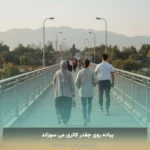 پیاده روی چقدر کالری می سوزاند