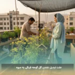 علت تبدیل نشدن گل گوجه فرنگی به میوه